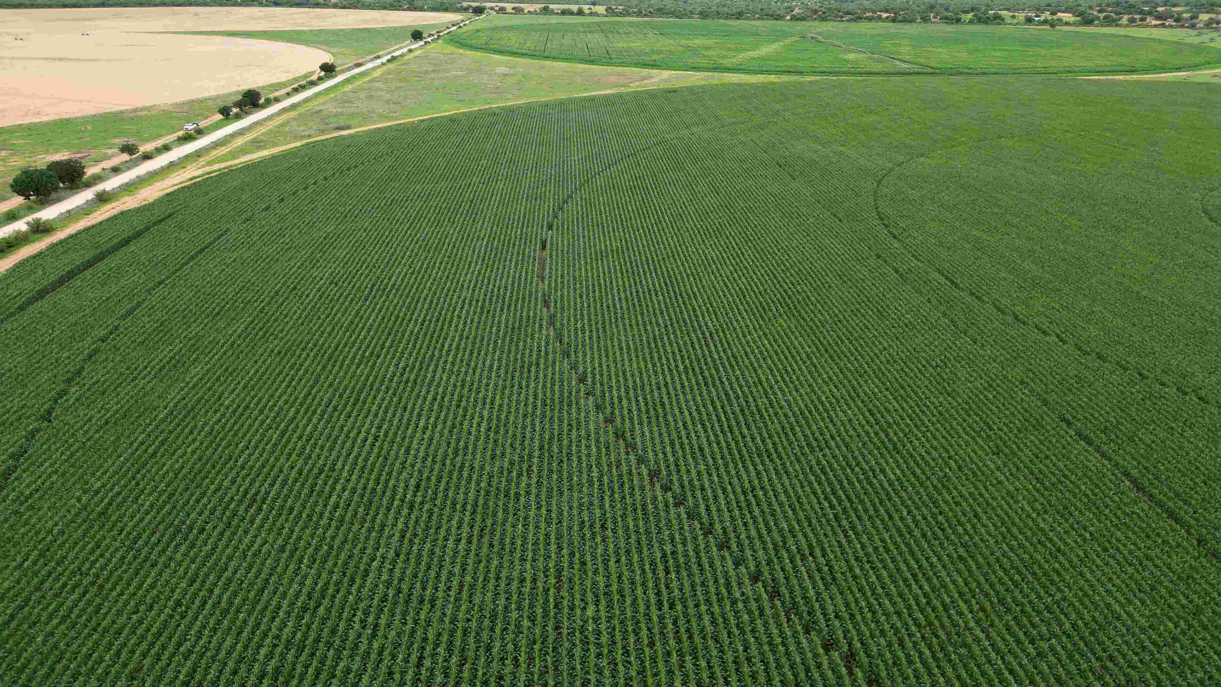 Ndonga Linena scheme